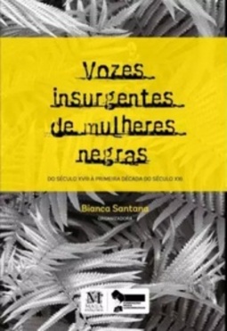Vozes Insurgentes de Mulheres Negras