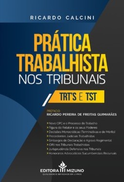 Prática trabalhista nos tribunais: TRT’s e TST