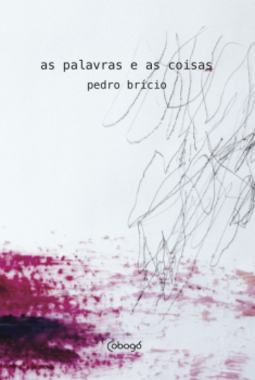 As palavras e as coisas