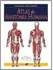 Atlas de Anatomia Humana