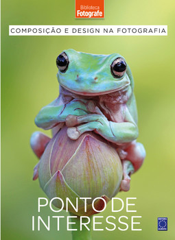 Composição e design na fotografia - Ponto de interesse