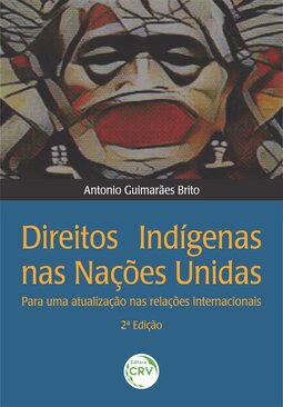 Direitos indígenas nas Nações Unidas: para uma atualização nas relações internacionais