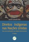 Direitos indígenas nas Nações Unidas: para uma atualização nas relações internacionais