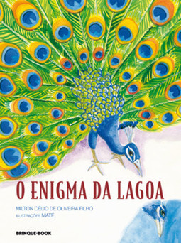O enigma da lagoa