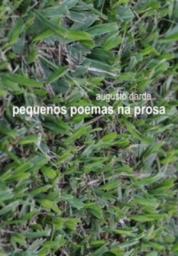 Pequenos poemas na prosa