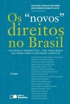 Os "novos" direitos no Brasil: natureza e perspectivas - Uma visão básica das novas conflituosidades jurídicas