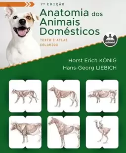 Anatomia dos Animais Domésticos: Texto e Atlas Colorido