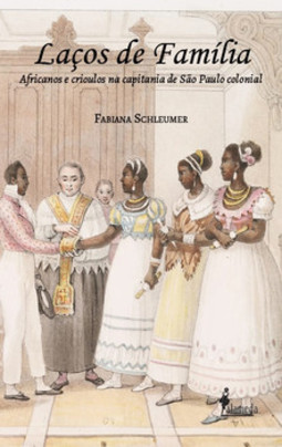 Laços de família: africanos e crioulos na capitania de São Paulo colonial