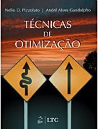 TECNICAS DE OTIMIZACAO