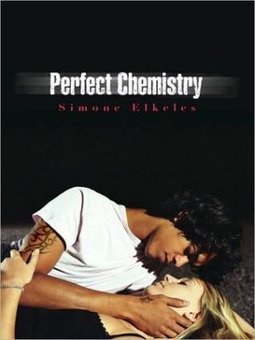 PERFECT CHEMISTRY