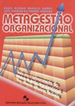 Metagestao Organizacional