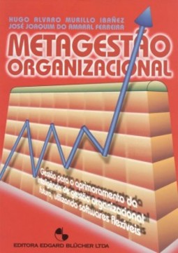 Metagestao Organizacional