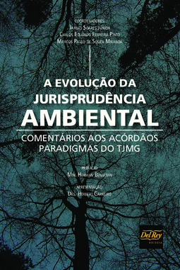 A evolução da jurisprudência ambiental: comentários aos acórdãos paradigmas do TJMG