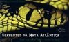 Serpentes da Mata Atlântica: Guia Ilustrado para a Serra do Mar