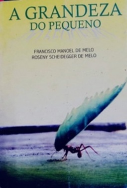 A Grandeza do Pequeno
