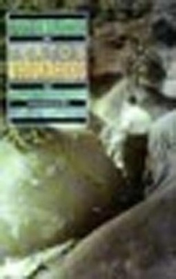 Coletânea de Textos Geográficos