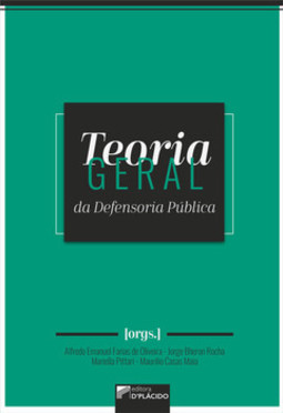 Teoria geral da defensoria pública