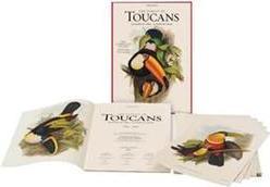 Gould Family Of Toucans