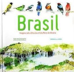 BRASIL: IMAGENS SOB A OTICA DA ARTISTA...OLIVEIRA