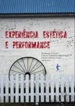Experiência estética e performance