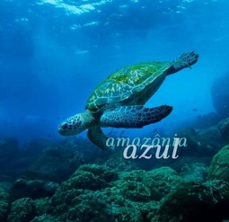 Amazônia azul / Blue Amazonia