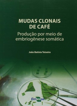 Mudas clonais de café: produção por meio de embriogênese somática
