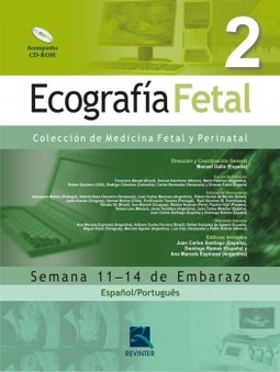 Ecografía fetal: semana 11-14 de embarazo