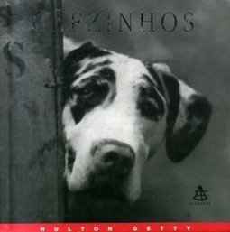 Cãezinhos