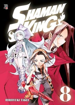 Shaman King Big Vol. 08