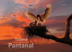 TAIAMA: A VIDA AS MARGENS DO PANTANAL