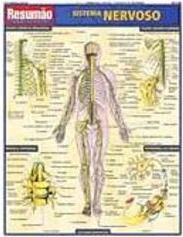 Resumão: Sistema Nervoso