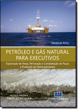 Petroleo E Gas Natural Para Executivos