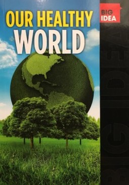 Big idea: our healthy world