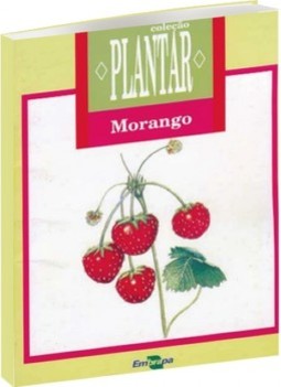 Morango