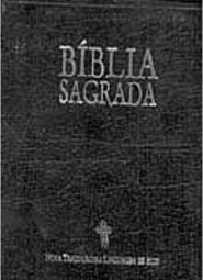 Bíblia Sagrada: Preta, Flexível com Beiras Douradas