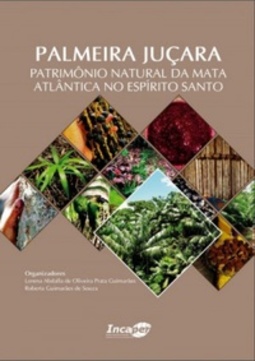 Palmeira juçara