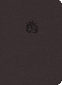 Bíblia de Estudo da Fé Reformada - Capa Luxo Vinho e Estojo
