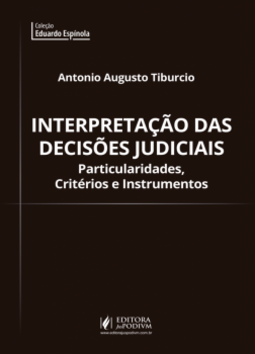 Interpretação das decisões judiciais: particularidades, critérios e instrumentos