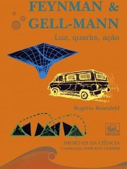 Feynman e Gell-Mann: Luz, Quarks, Ação