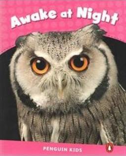 Awake at night: Level 2