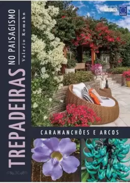 Trepadeiras no Paisagismo: Caramanchões e Arcos