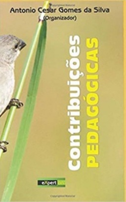 Contribuições pedagógicas