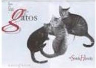 O Livro de Fotos dos Gatos de Sonia Hirsch