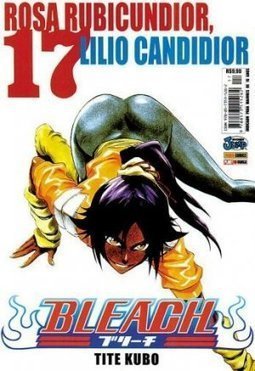 Bleach #17