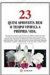 Palavras de Luz 2006: Preceitos Diários - Parede