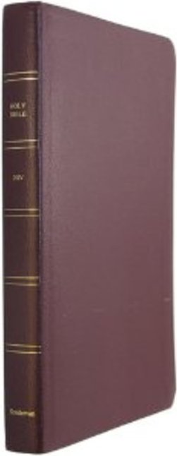 Biblia Sagrada em Ingles New International Version