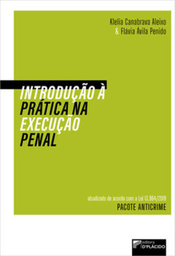 Introdução à prática na execução penal