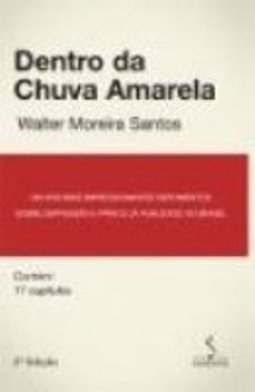 DENTRO DA CHUVA AMARELA