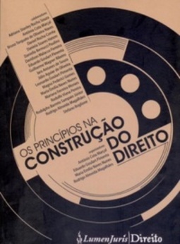 Os Princípios na Construção do Direito