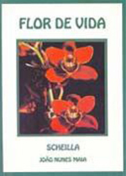 Flor de Vida